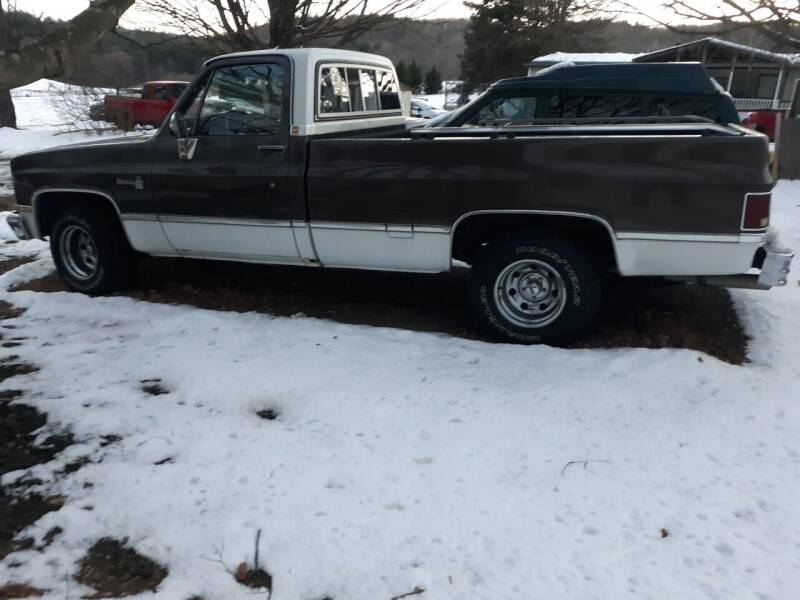 1983 Chevrolet C/K 10 Series for sale at Parkway Auto Exchange in Elizaville NY