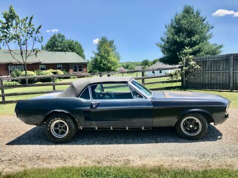 1967 Ford Mustang for sale at 500 CLASSIC AUTO SALES in Knightstown IN