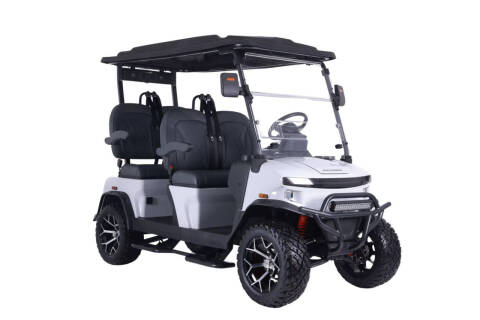 2025 Denago Rover XL