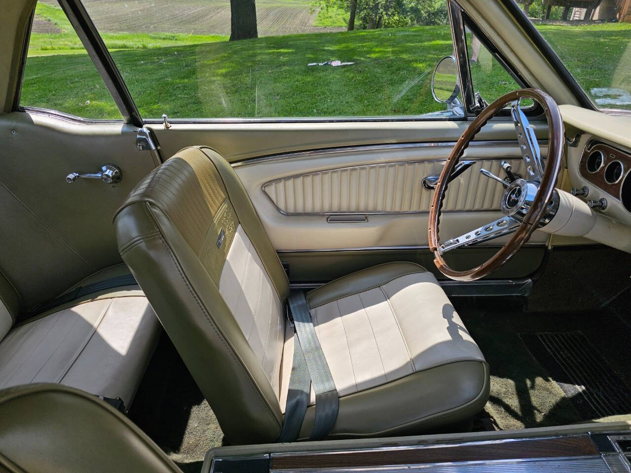 1965 Ford Mustang 166