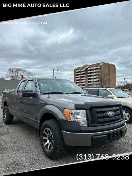 2009 Ford F-150 for sale at BIG MIKE AUTO SALES LLC in Lincoln Park MI