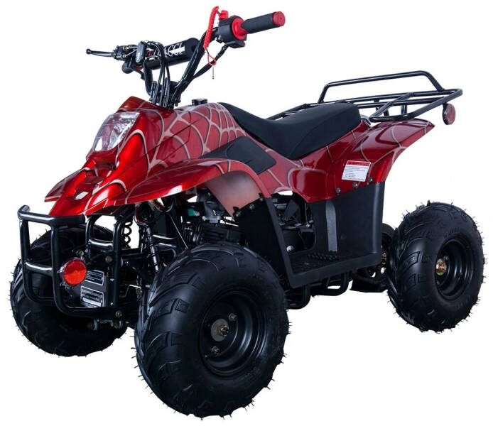 2023 Extreme 110cc