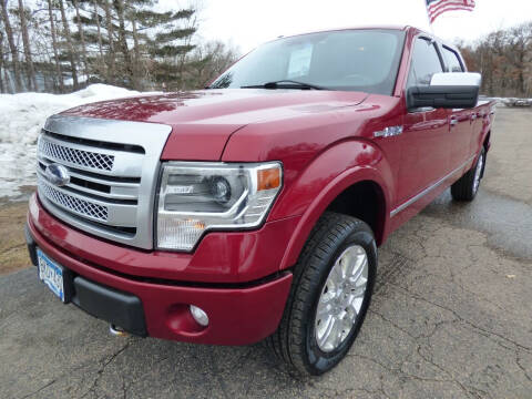 2013 Ford F-150 for sale at American Auto Sales in Forest Lake MN