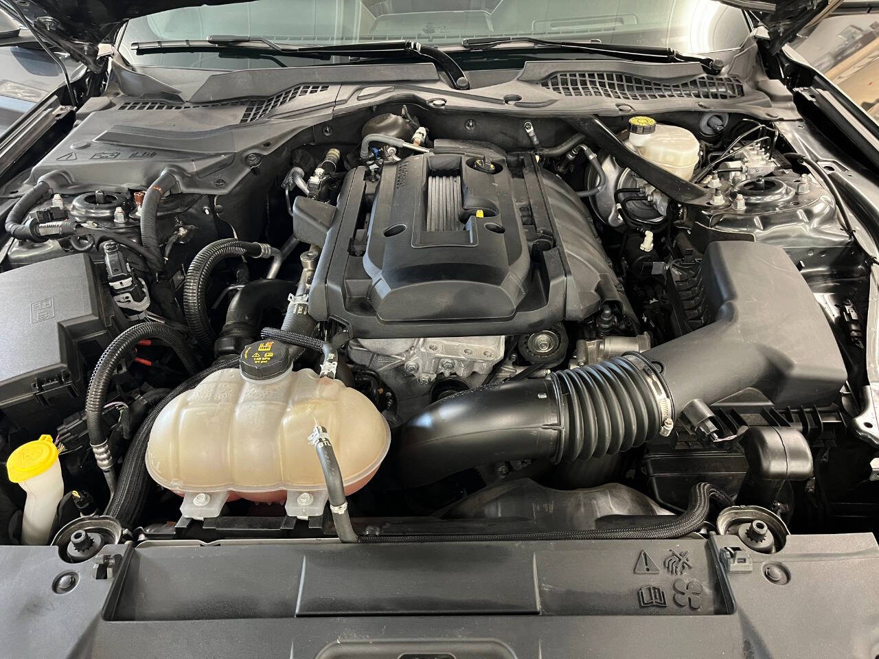 2019 Ford Mustang 202