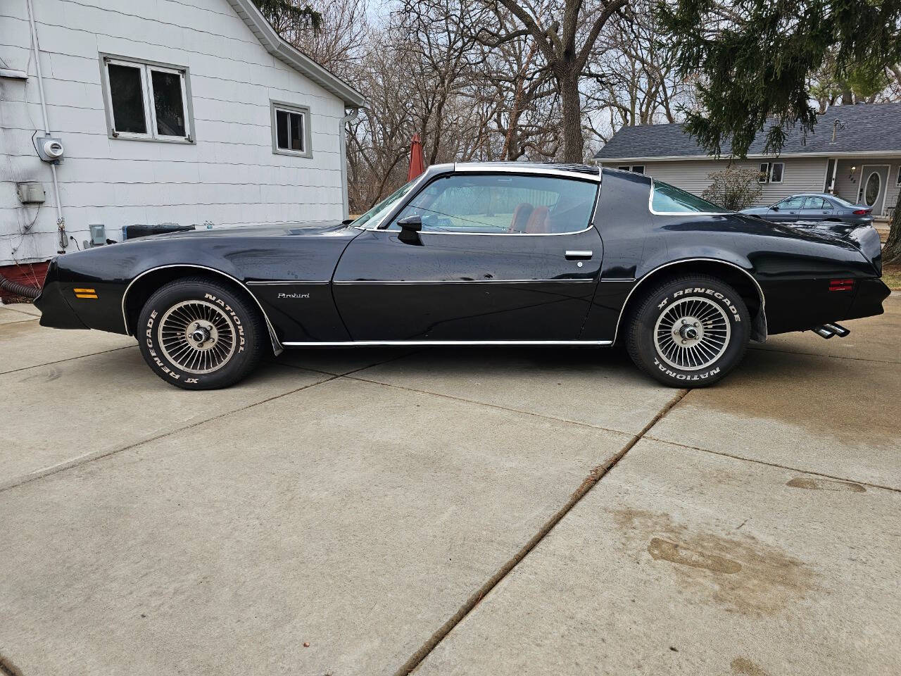 1978 Pontiac Firebird 8