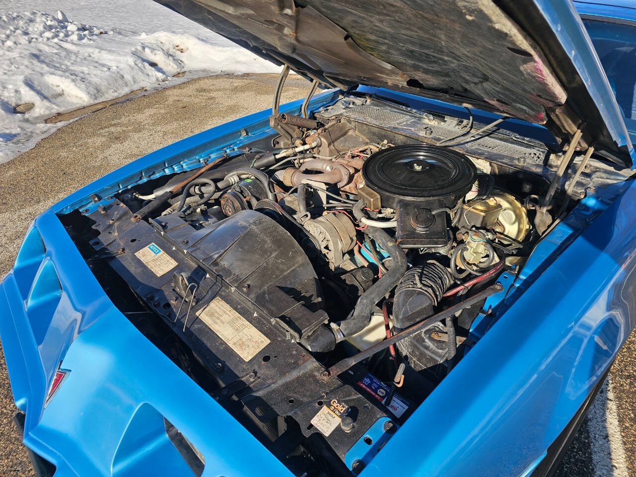 1980 Pontiac Firebird Trans Am 35