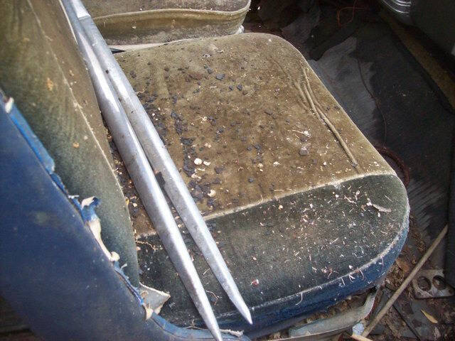 1953 Packard Flower Car Hearse