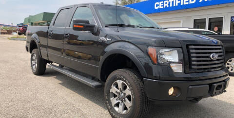 2012 Ford F-150 for sale at Perrys Certified Auto Exchange in Washington IN