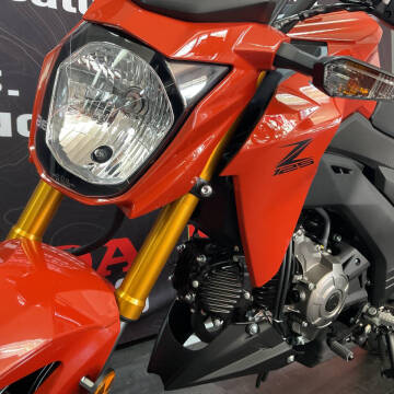 2025 Kawasaki Z125 Pro