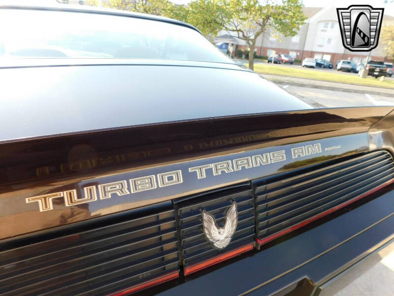 1981 Pontiac Firebird Trans Am