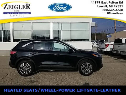 2020 Ford Escape for sale at Zeigler Ford of Plainwell - Jeff Bishop in Plainwell MI