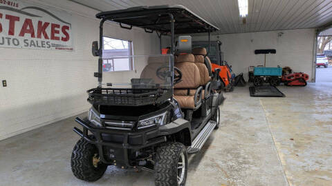 2025 SDLCG100 GOLF CART
