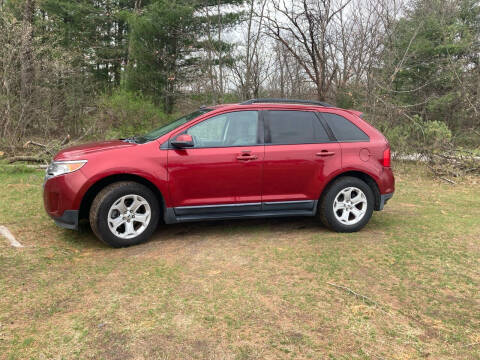 2013 Ford Edge for sale at Expressway Auto Auction in Howard City MI