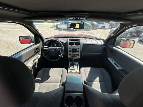 2011 Ford Escape XLT