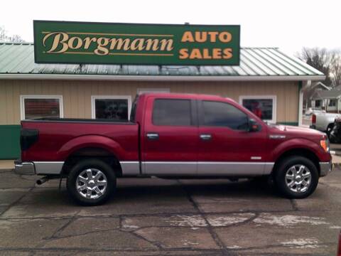 2013 Ford F-150 for sale at Borgmann Auto Sales in Norfolk NE