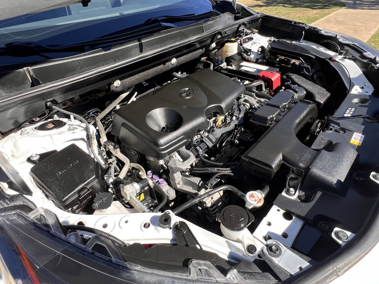 Used Car 2019 Toyota Rav4  Xle 4dr Suv For Sale Under $20,000 In Austin, Texas