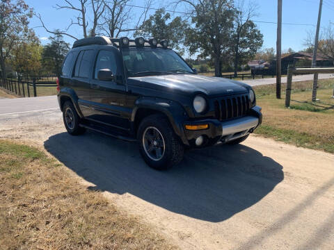 2003 Jeep Liberty for sale at TRAVIS AUTOMOTIVE in Corryton TN