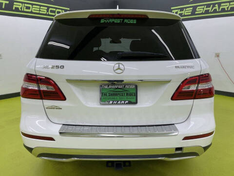 2015 Mercedes-Benz M-Class ML 250 BlueTEC