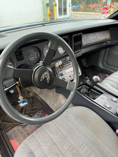 1985 Pontiac Firebird for sale at CARuso Classics Cars in Tampa, FL