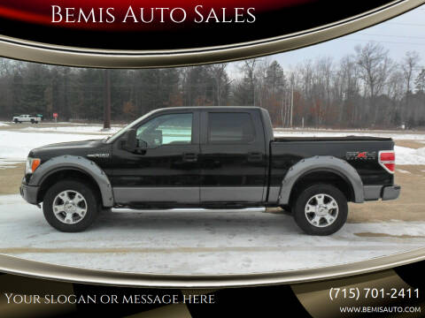2009 Ford F-150 for sale at Bemis Auto Sales in Crivitz WI