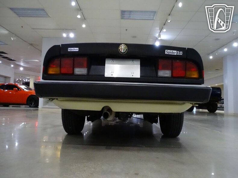 1984 Alfa Romeo Spider Veloce