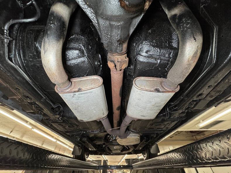 1981 Pontiac Firebird Trans Am