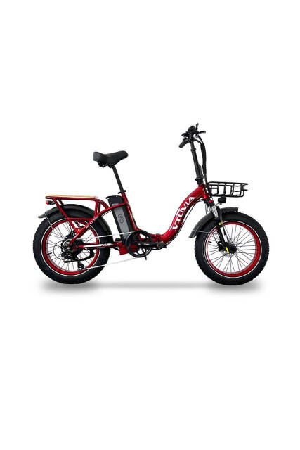 Vtuvia Electric Bikes Tiger Plus  Image