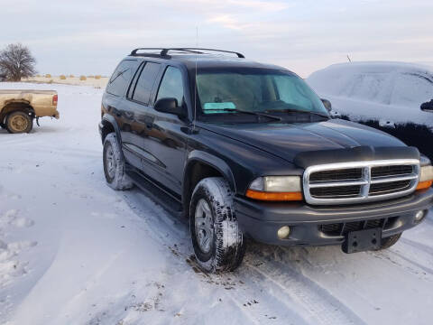 2002 Dodge Durango for sale at B&M Auto Sales and Service LLP in Marion SD