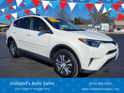 2017 Toyota RAV4 for sale at Holland's Auto Sales in Harrisonville MO