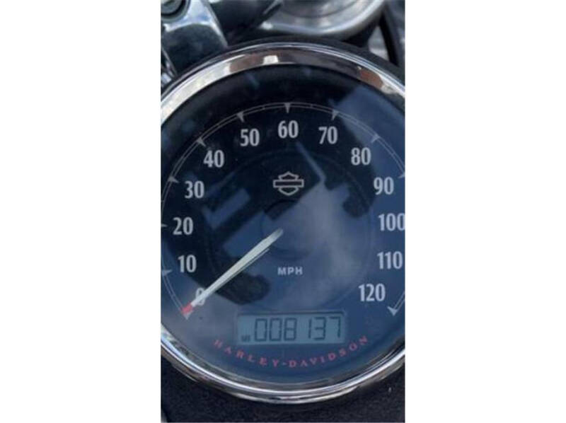 2015 Harley-Davidson FXDL103 / Low Rider