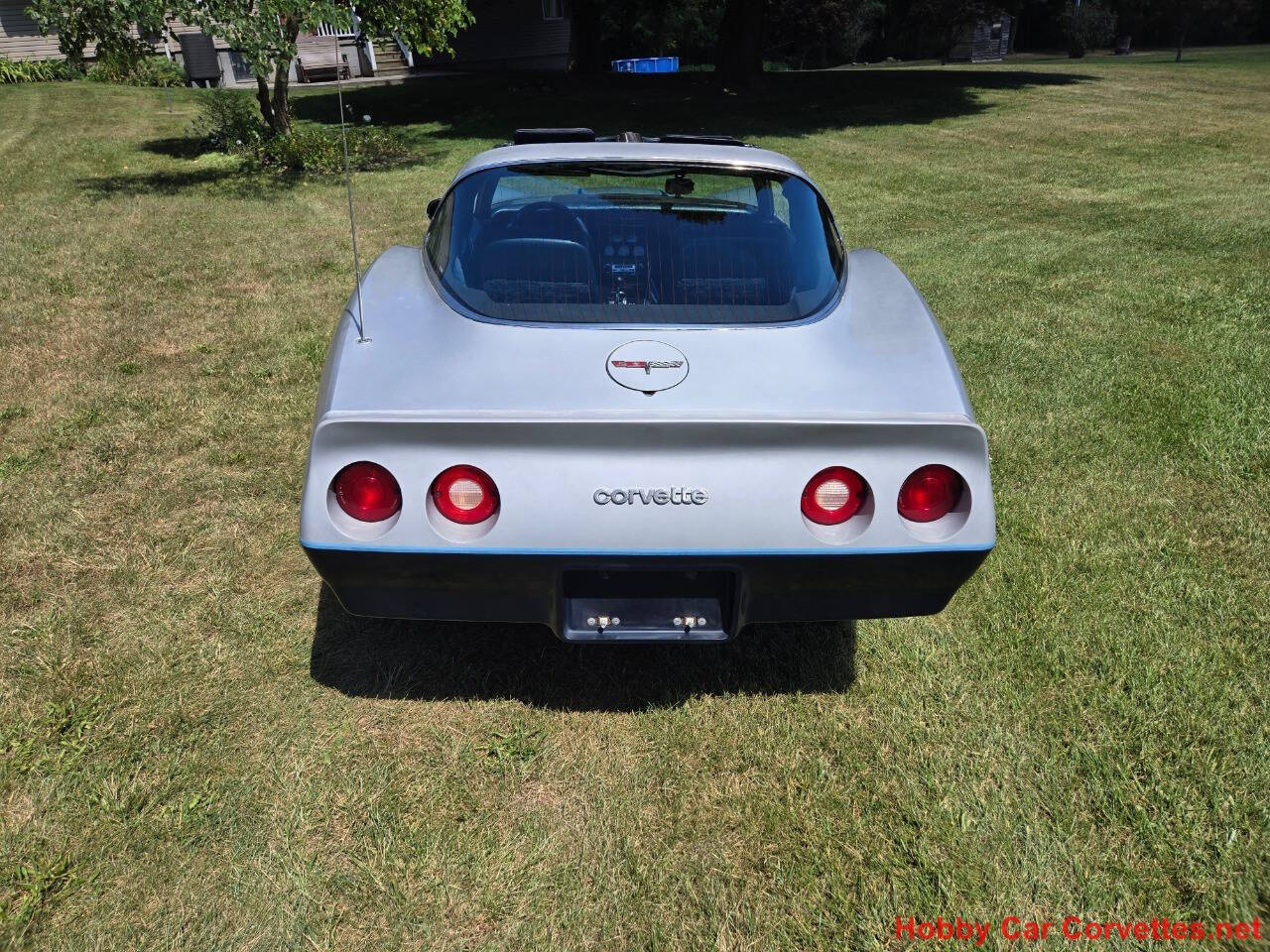 1981 Chevrolet Corvette 11