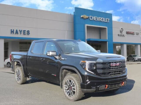 2023 GMC Sierra 1500 for sale at HAYES CHEVROLET Buick GMC Cadillac Inc in Alto GA