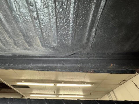 1977 Volkswagen Super Beetle