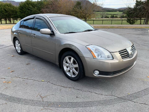 2006 Nissan Maxima for sale at TRAVIS AUTOMOTIVE in Corryton TN