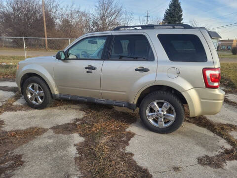 2010 Ford Escape XLT