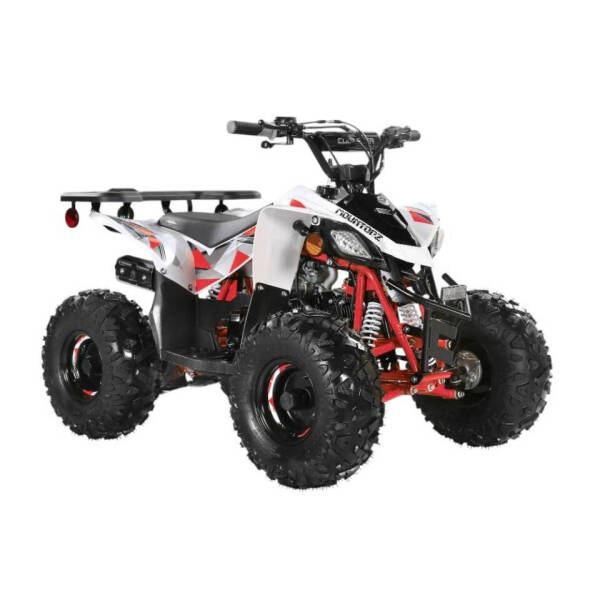 2025 Coolster 110cc 3050B2