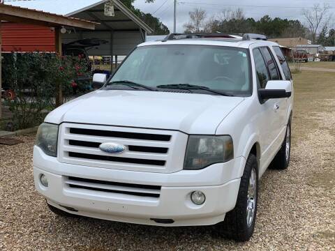 2009 Ford Expedition for sale at E&E Motors in Hattiesburg MS
