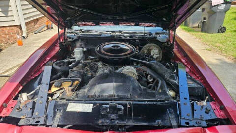 1975 Pontiac Firebird