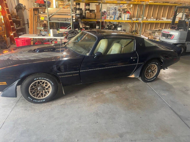 1981 Pontiac Firebird Trans Am