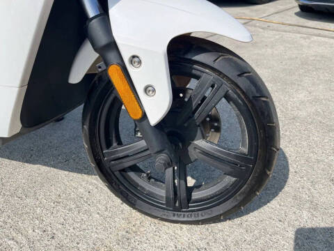 2020 Zebra E-bike