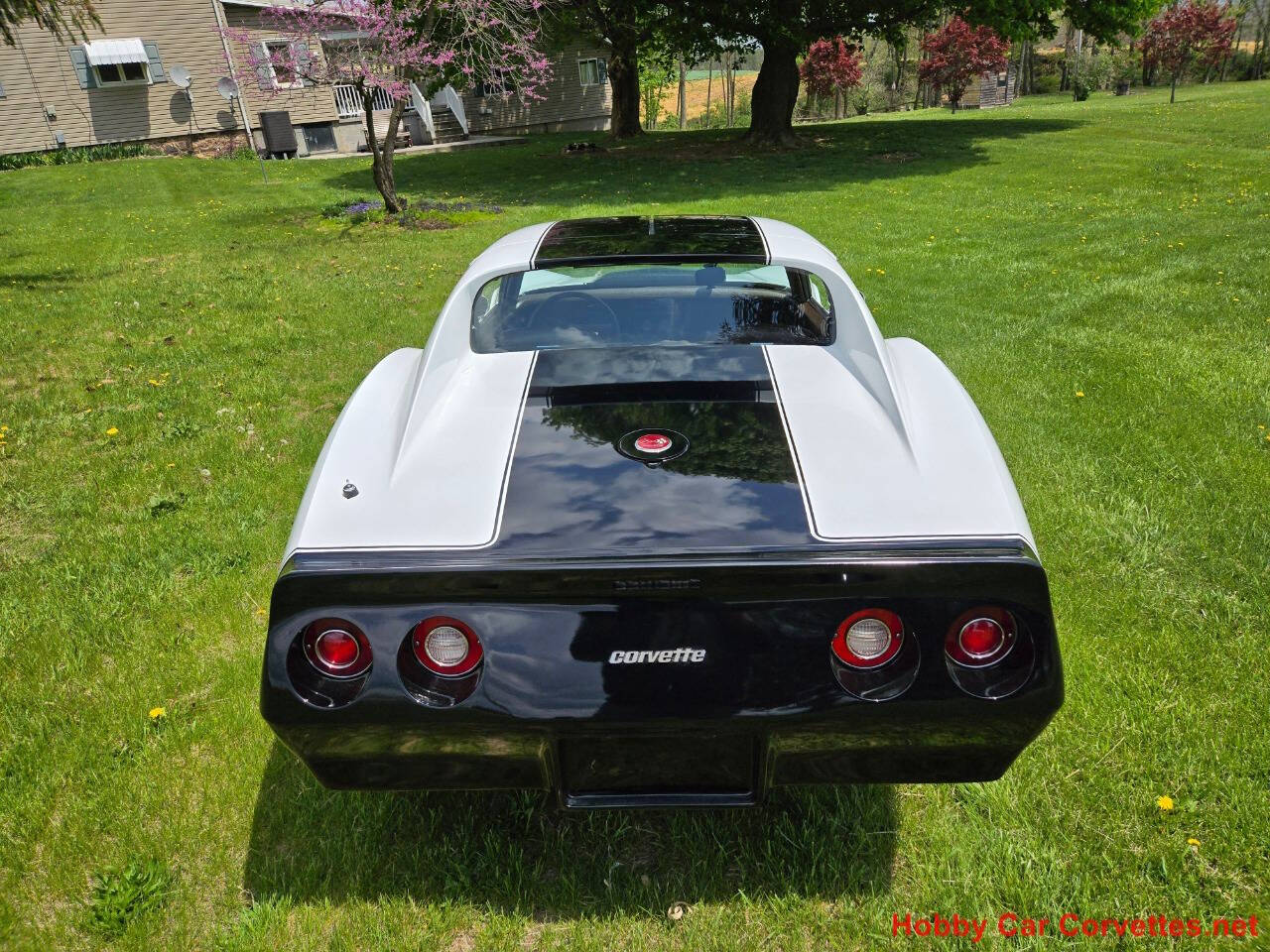 1976 Chevrolet Corvette 8