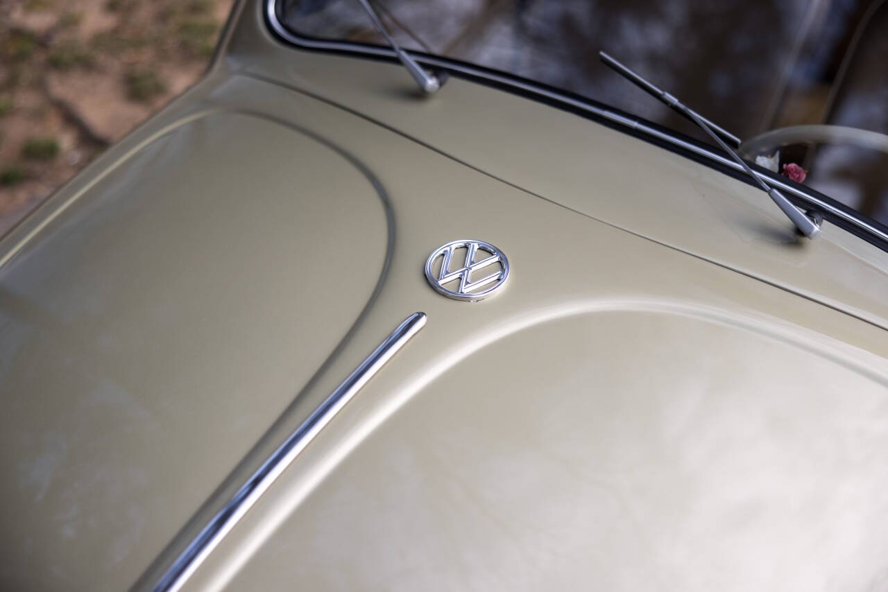 1955 Volkswagen Beetle 47