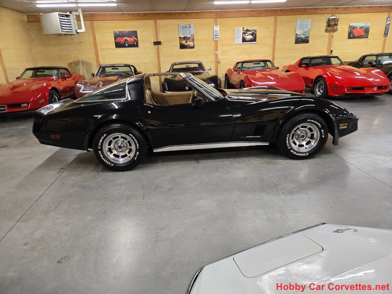 1981 Chevrolet Corvette 54