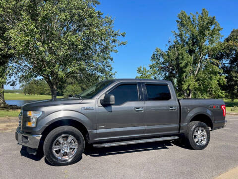 2015 Ford F-150 for sale at LAMB MOTORS INC in Hamilton AL