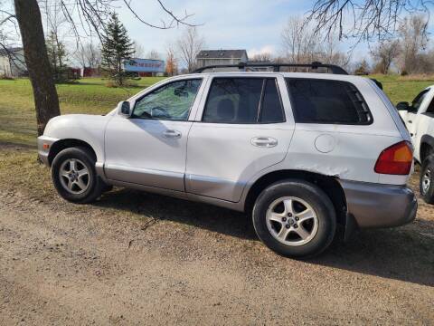 2003 Hyundai Santa Fe for sale at Affordable 4 All Auto Sales in Elk River MN