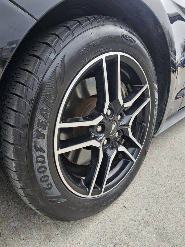2019 Ford Mustang GT Premium