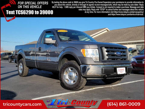 2009 Ford F-150 for sale at Tri-County Pre-Owned Superstore in Reynoldsburg OH