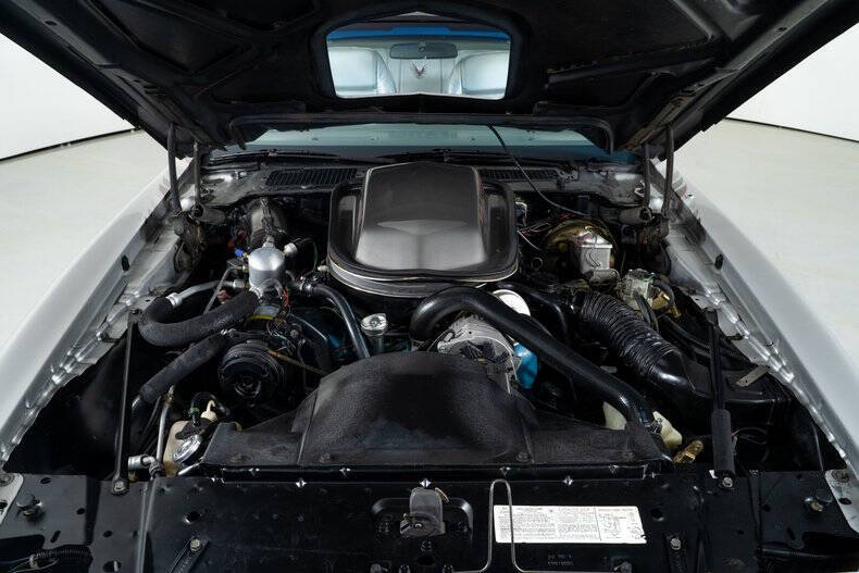 1979 Pontiac Trans Am