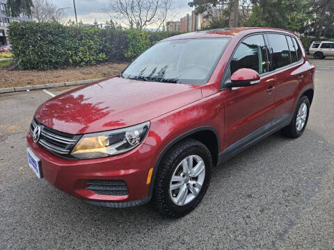 2013 Volkswagen Tiguan S