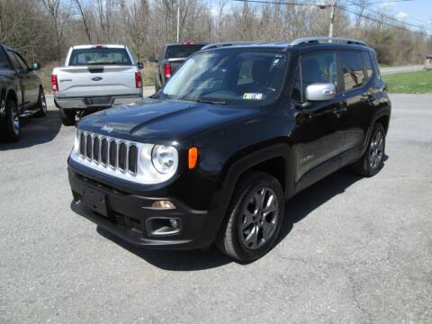 2015 Jeep Renegade for sale at WORKMAN AUTO INC in Pleasant Gap PA